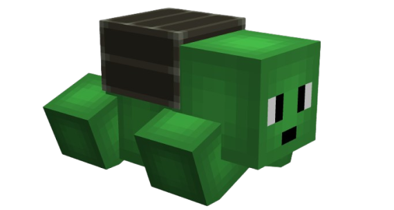 Turtle