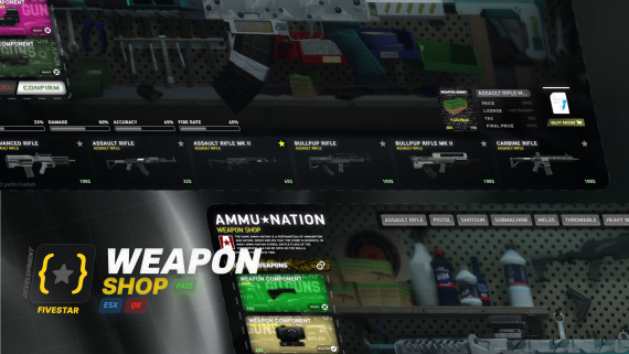 Weapon shop system 