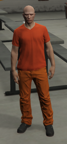 Duddzy Jail System