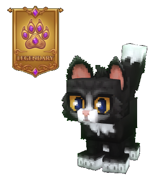 🐈 Cat