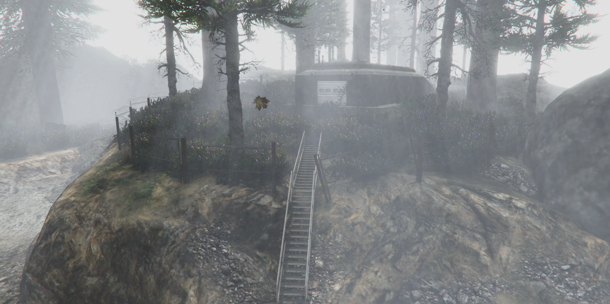The Forest Island