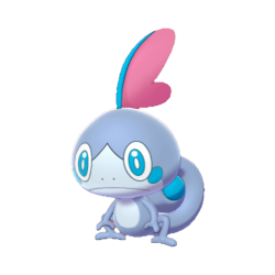 6 IV Shiny Sobble