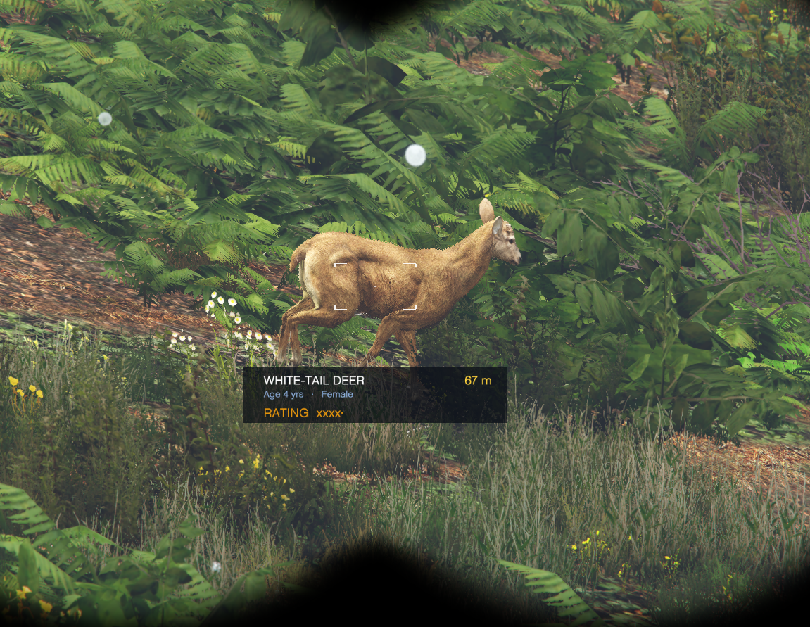 Advanced Hunting