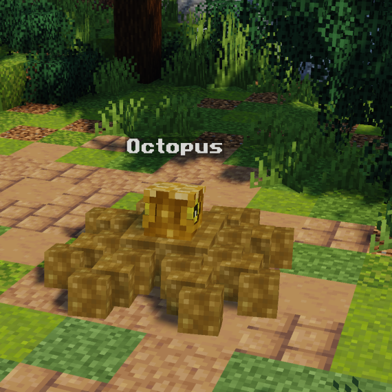 Octopus Pet