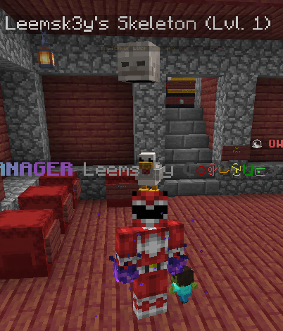☠️ Skeleton Pet – Master of the Bow!