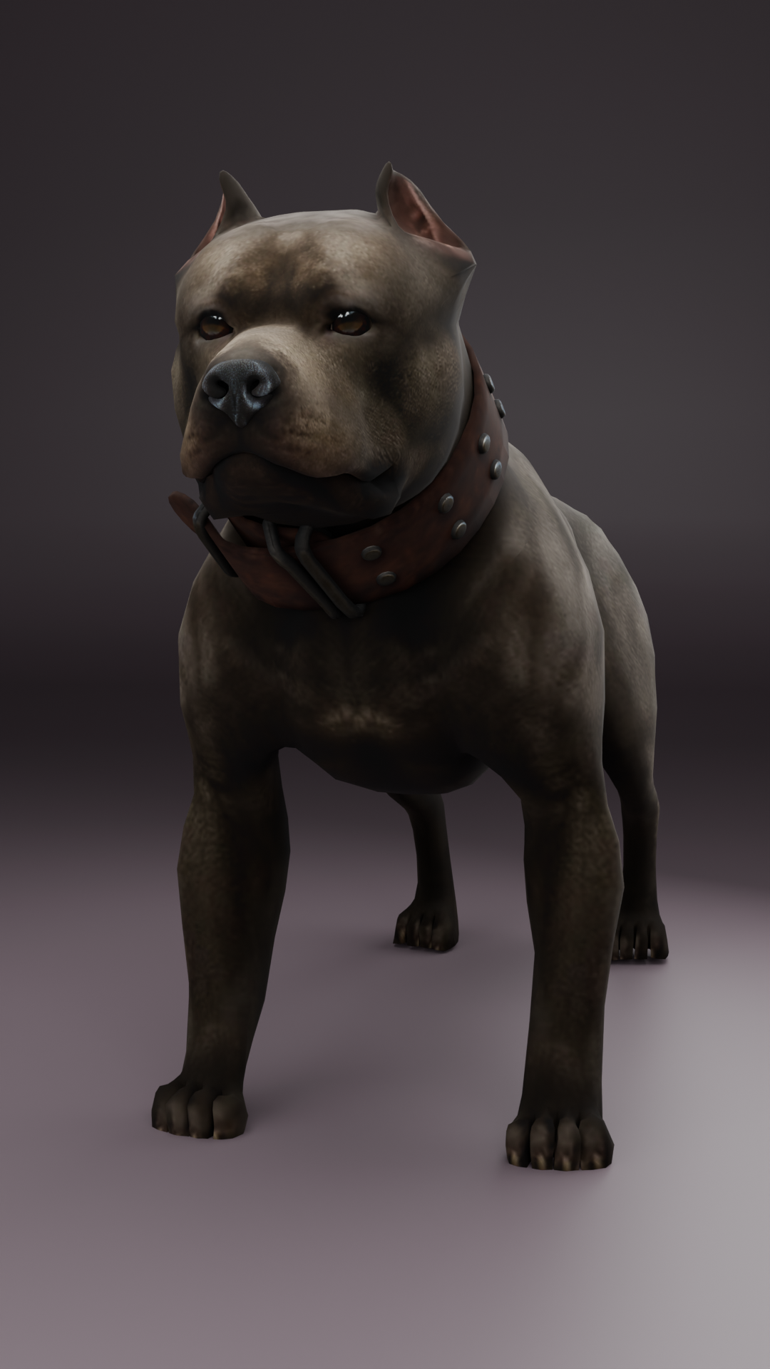 Doge 4