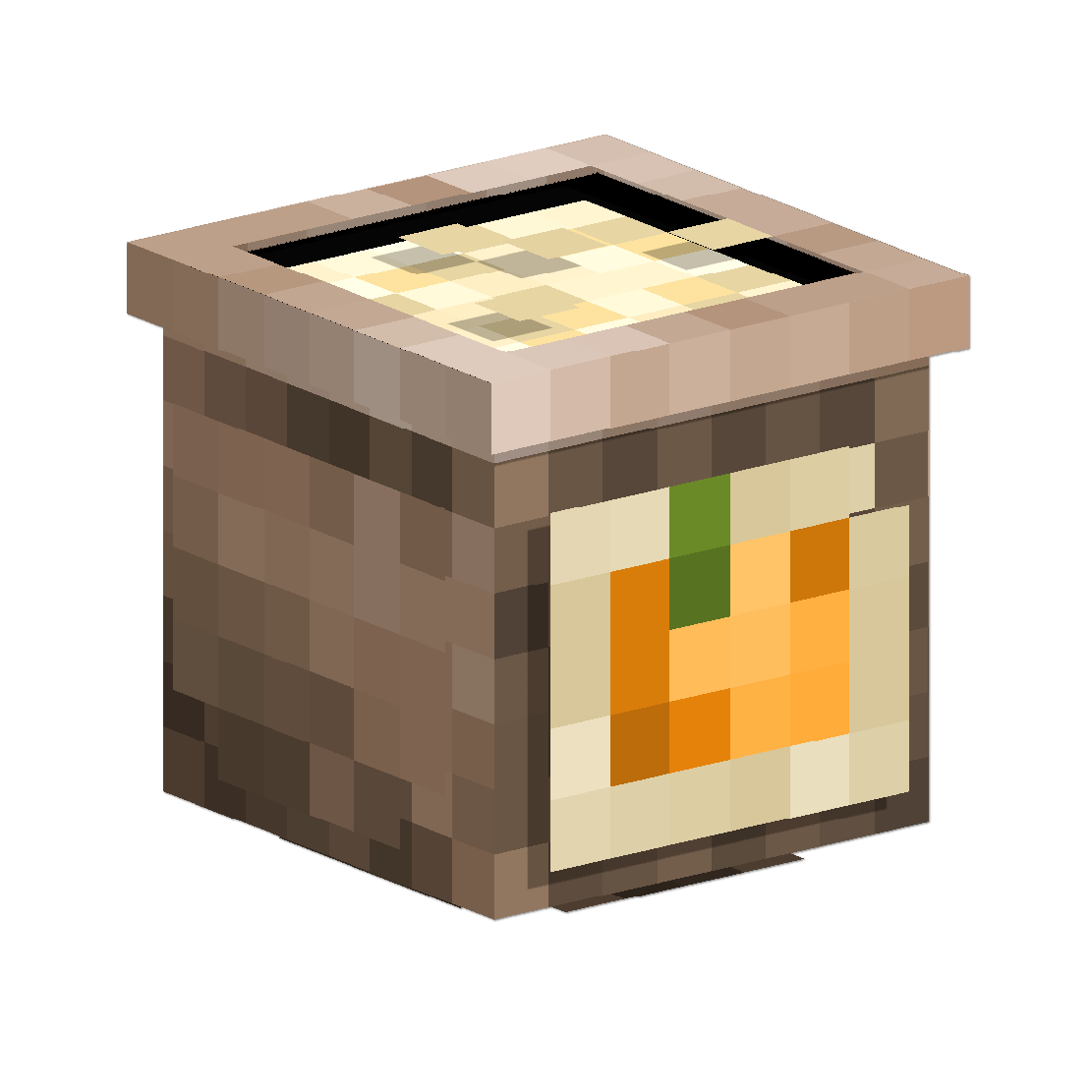 Seedling