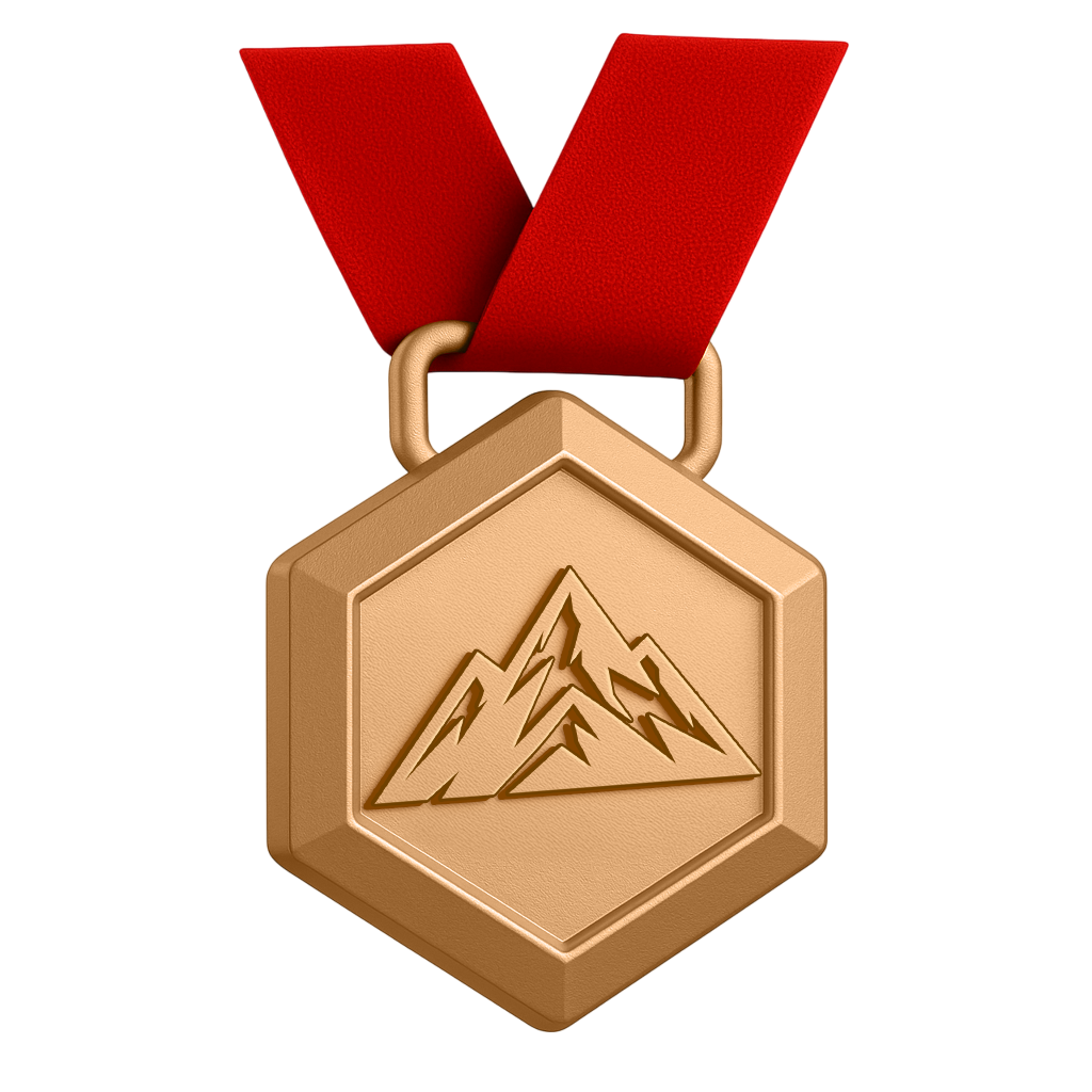 VIP Bronze