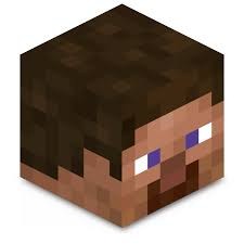 Owner Head NokkNokk