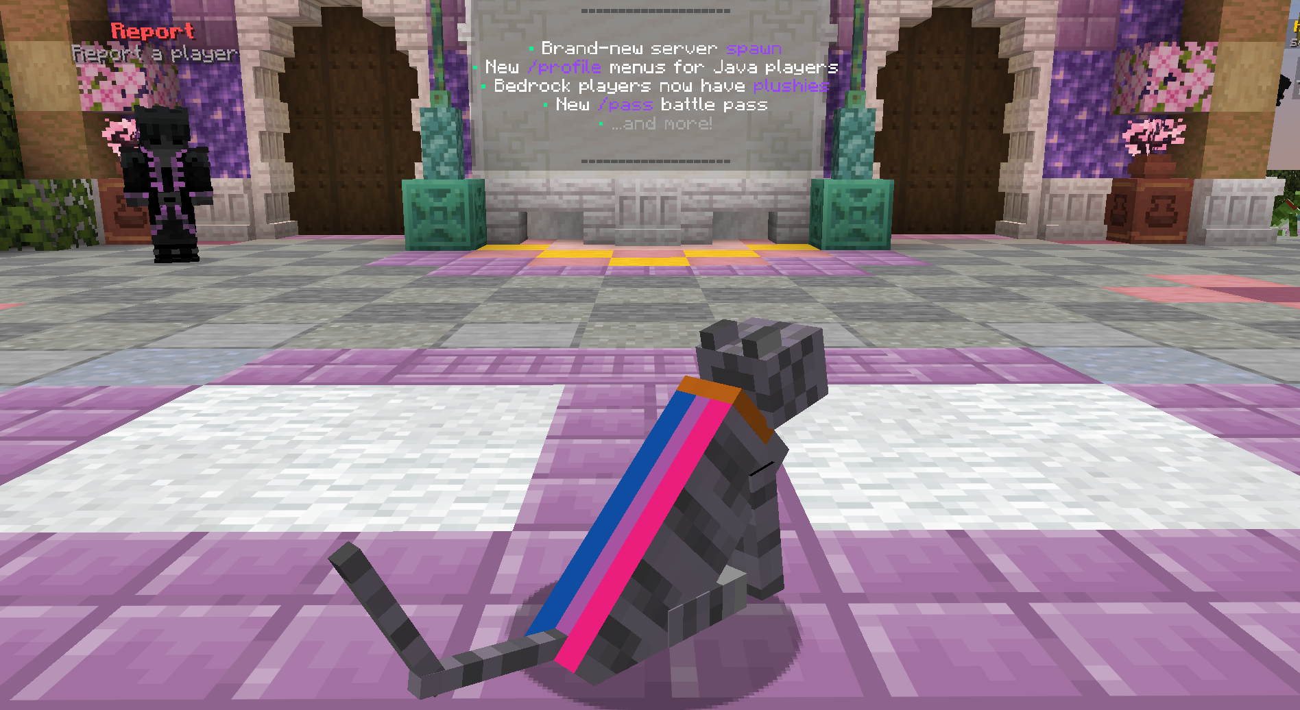 π Bi Pride Cape Cat β cosmetic Cat Skins item on the NovaVoid Cat Civilization Minecraft server