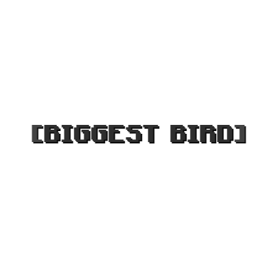 Biggest Bird