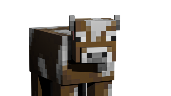Cow