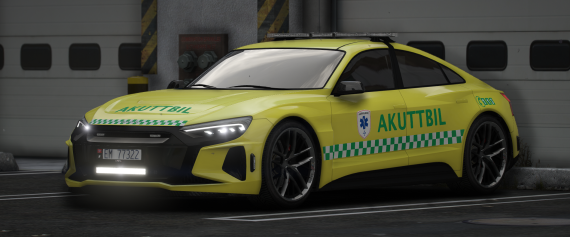 EMS Omnis e-GT w/ Reflection