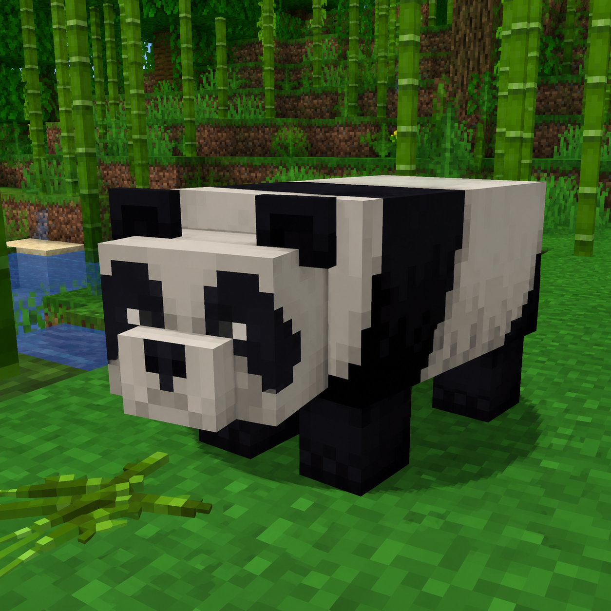 Panda