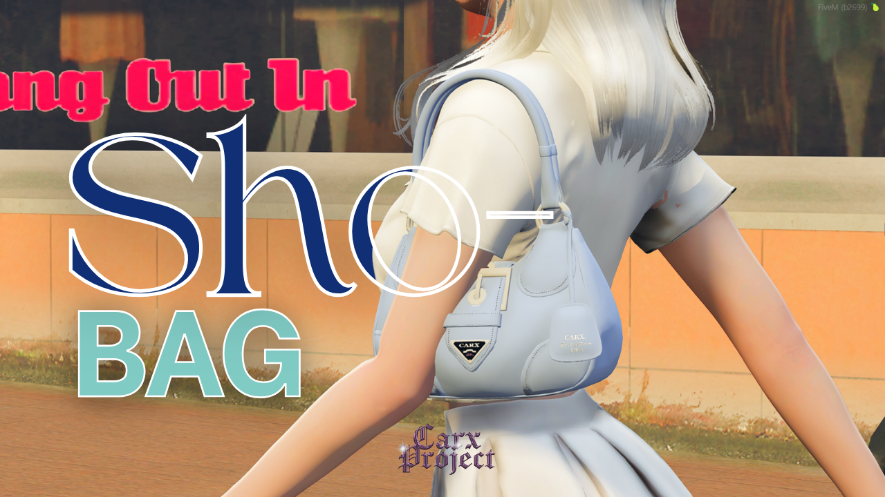 ✨👜Sho-Bag 👜✨