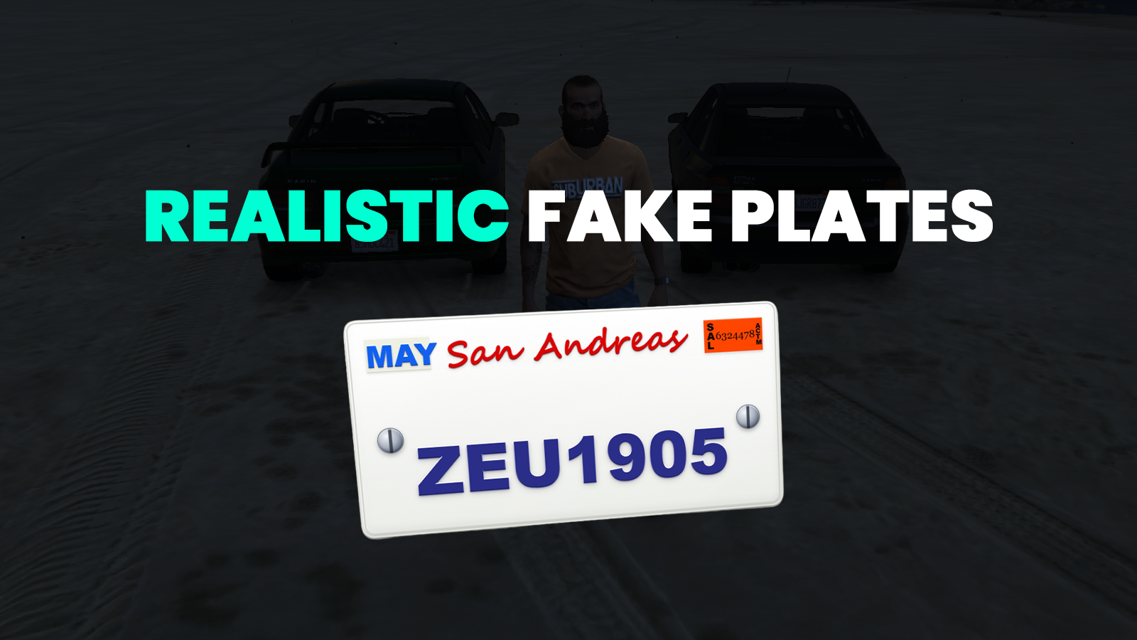 Realistic Fake License Plate System