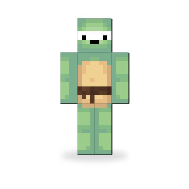 Ninja Turtle Skin