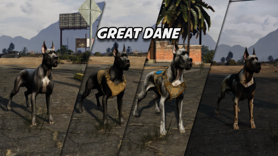 Great Dane