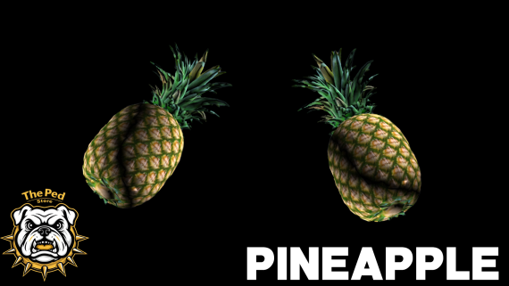 Throwable Pineapple