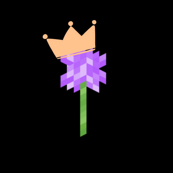 Donor