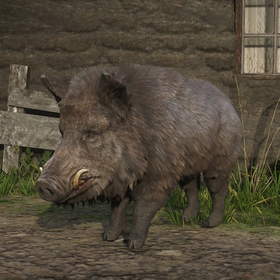 Sanglier