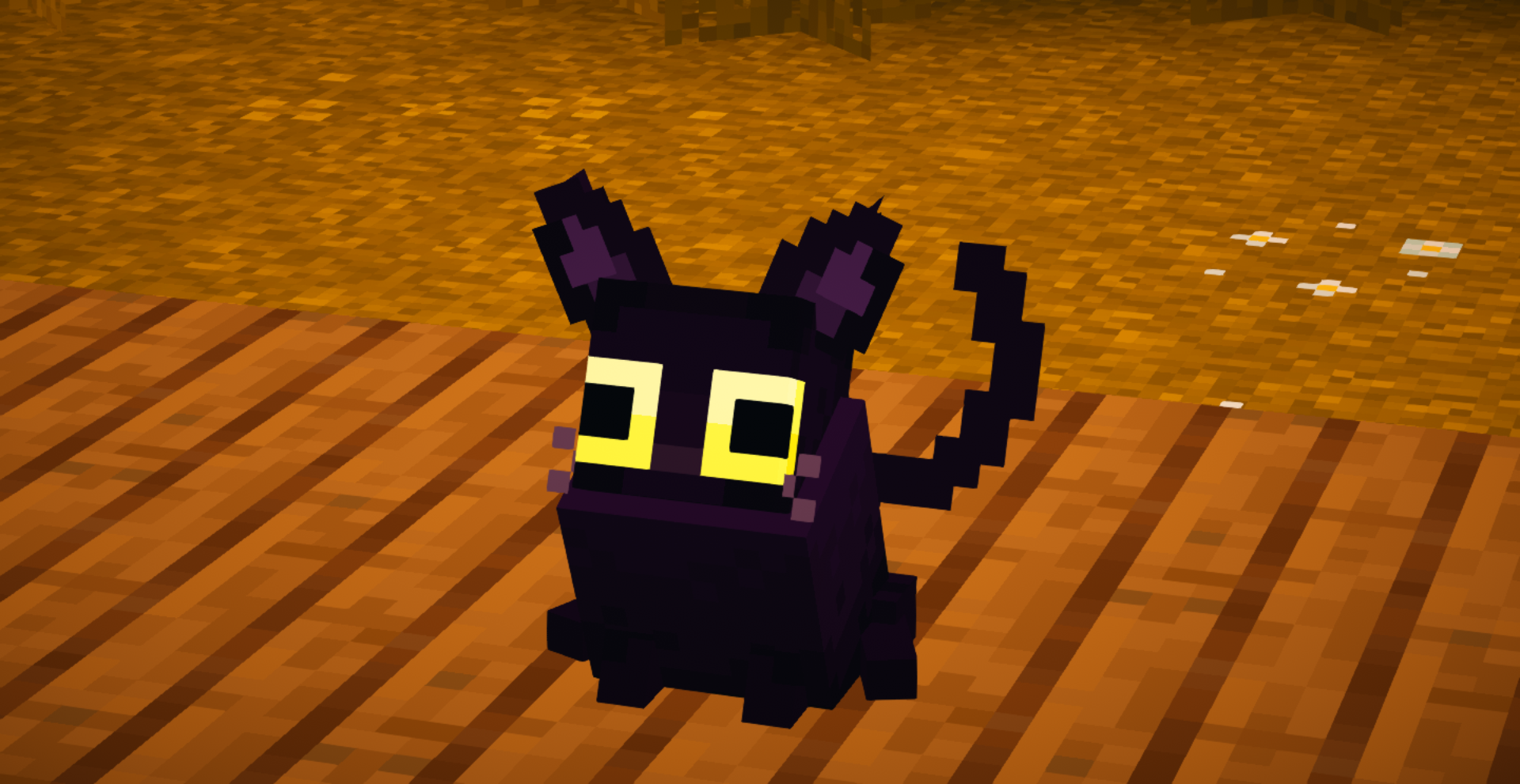Black Cat