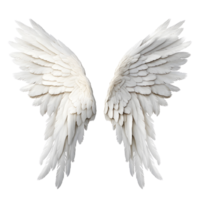 cᴏᴍᴀɴᴅᴏ  /FLY (1 MES)
