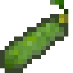 Zucchini Seed