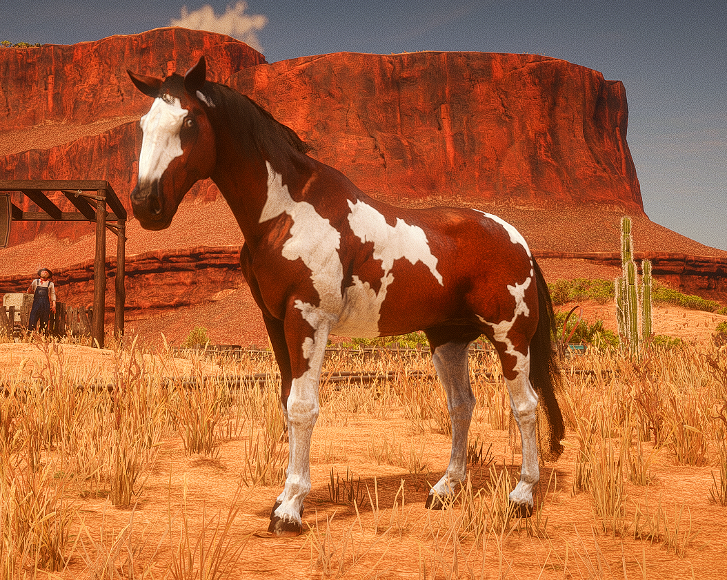 Mestizo Chestnut Spoted - Macho