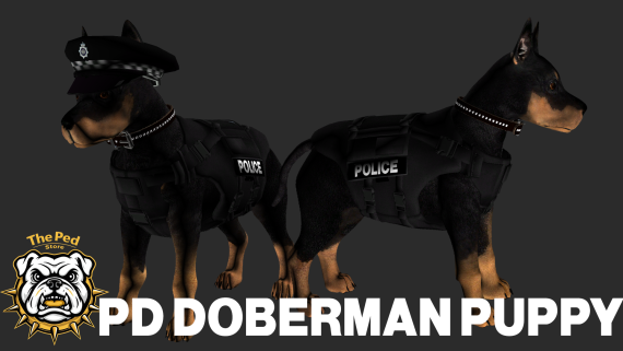 Police Doberman Puppy