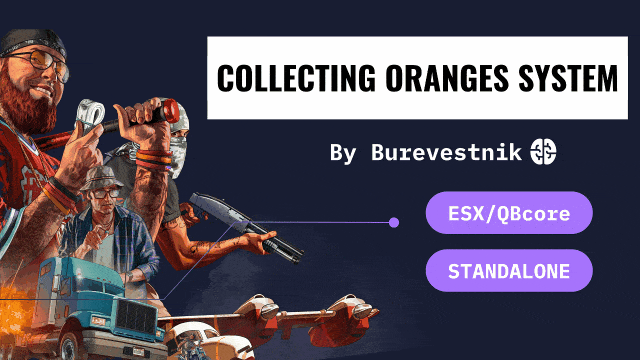 Collecting oranges