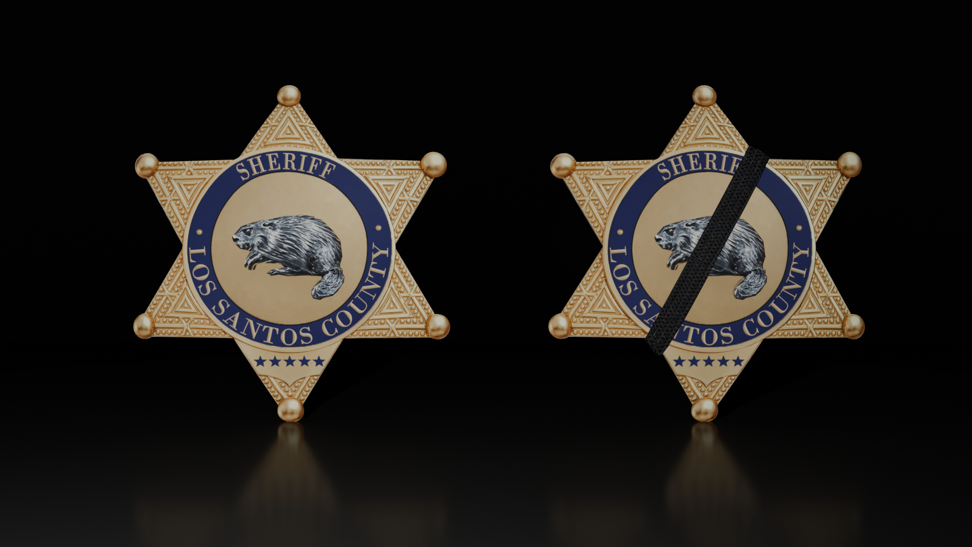 LSSD Badges