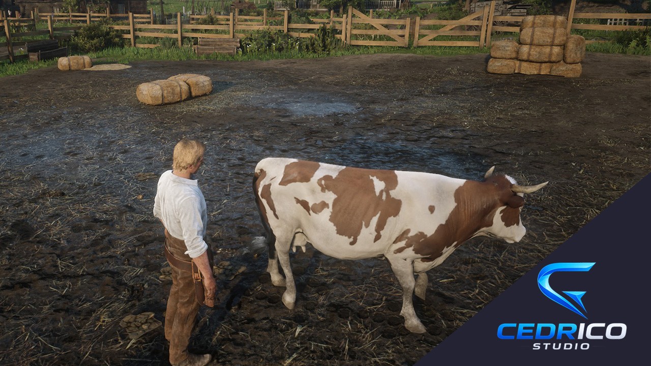 CS RANCH