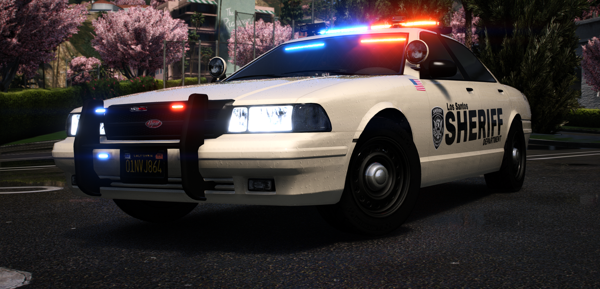 POLICE CRUISER (CRUISER)