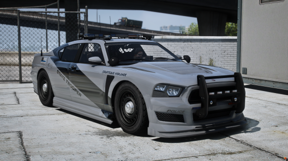 V1 BUFFALO S