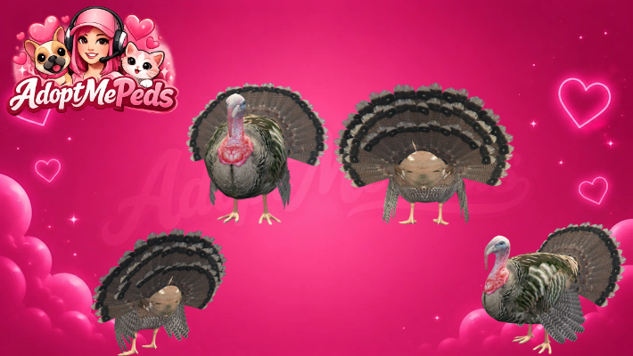 Turkey