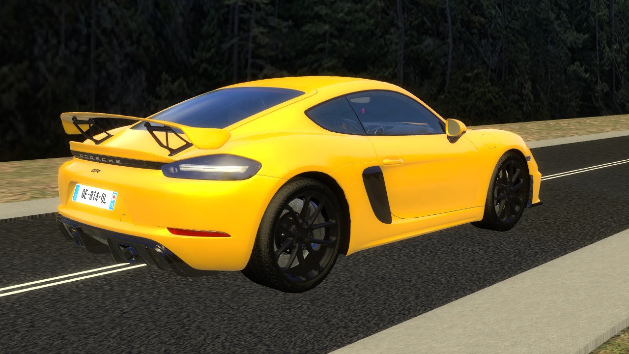 Porshe 817 GT4