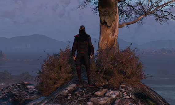 Shadow Assassin