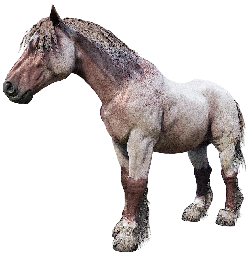 Red Roan Breton