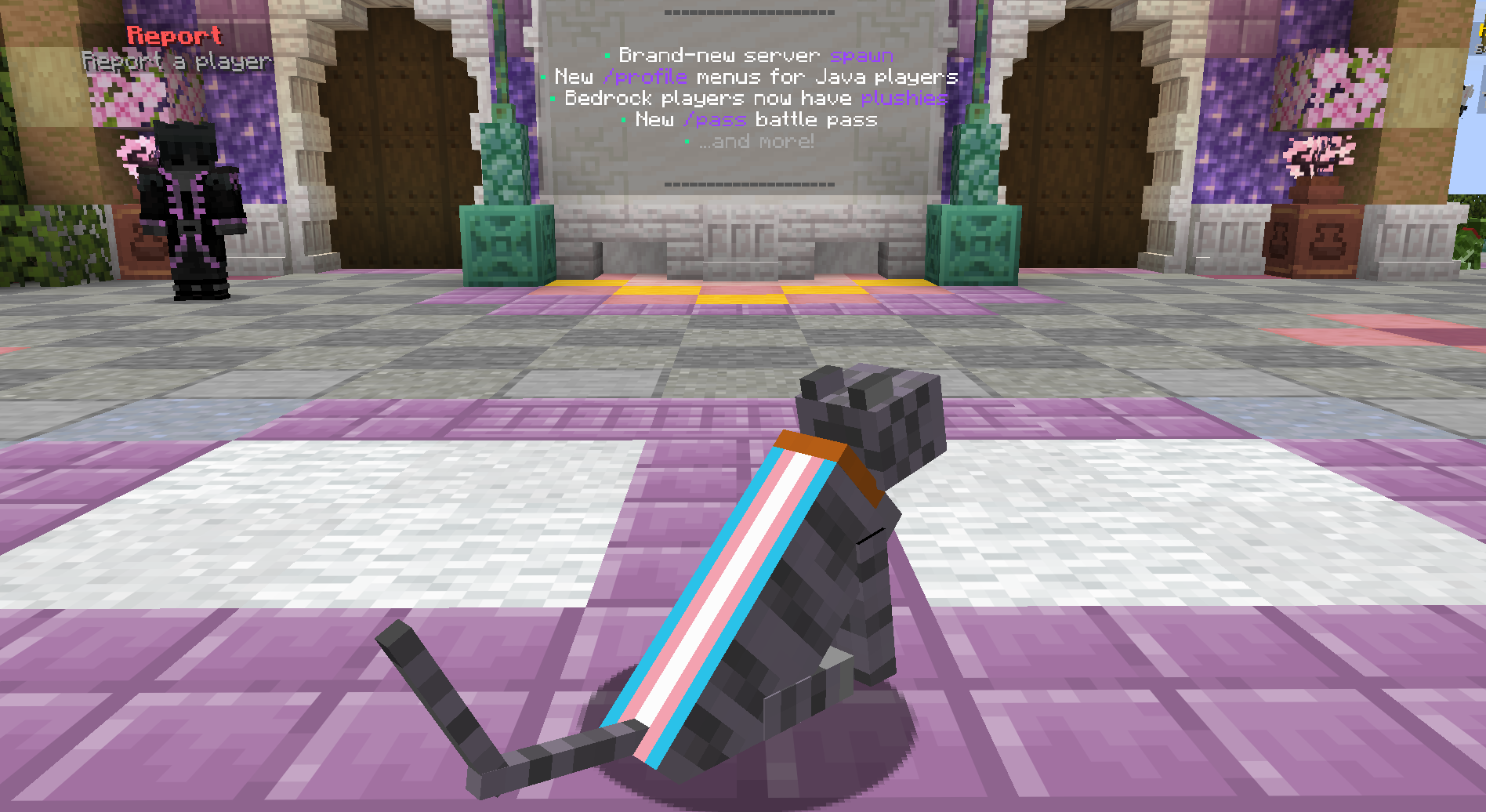 🏳️‍⚧️ Trans Pride Cape Cat — cosmetic Cat Skins item on the NovaVoid Cat Civilization Minecraft server