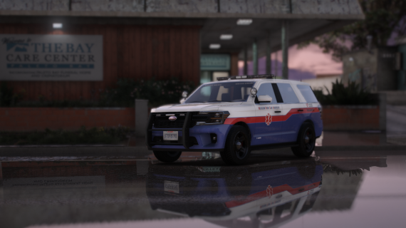 Vapid Aleutian