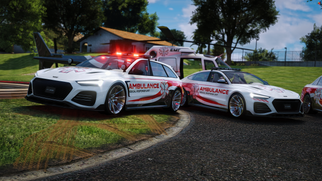 🚑 EMS Bundle V2 Screenshot 8