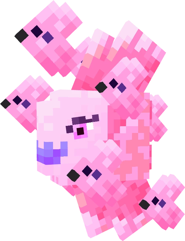 Valentines Alomomola - Common Skin