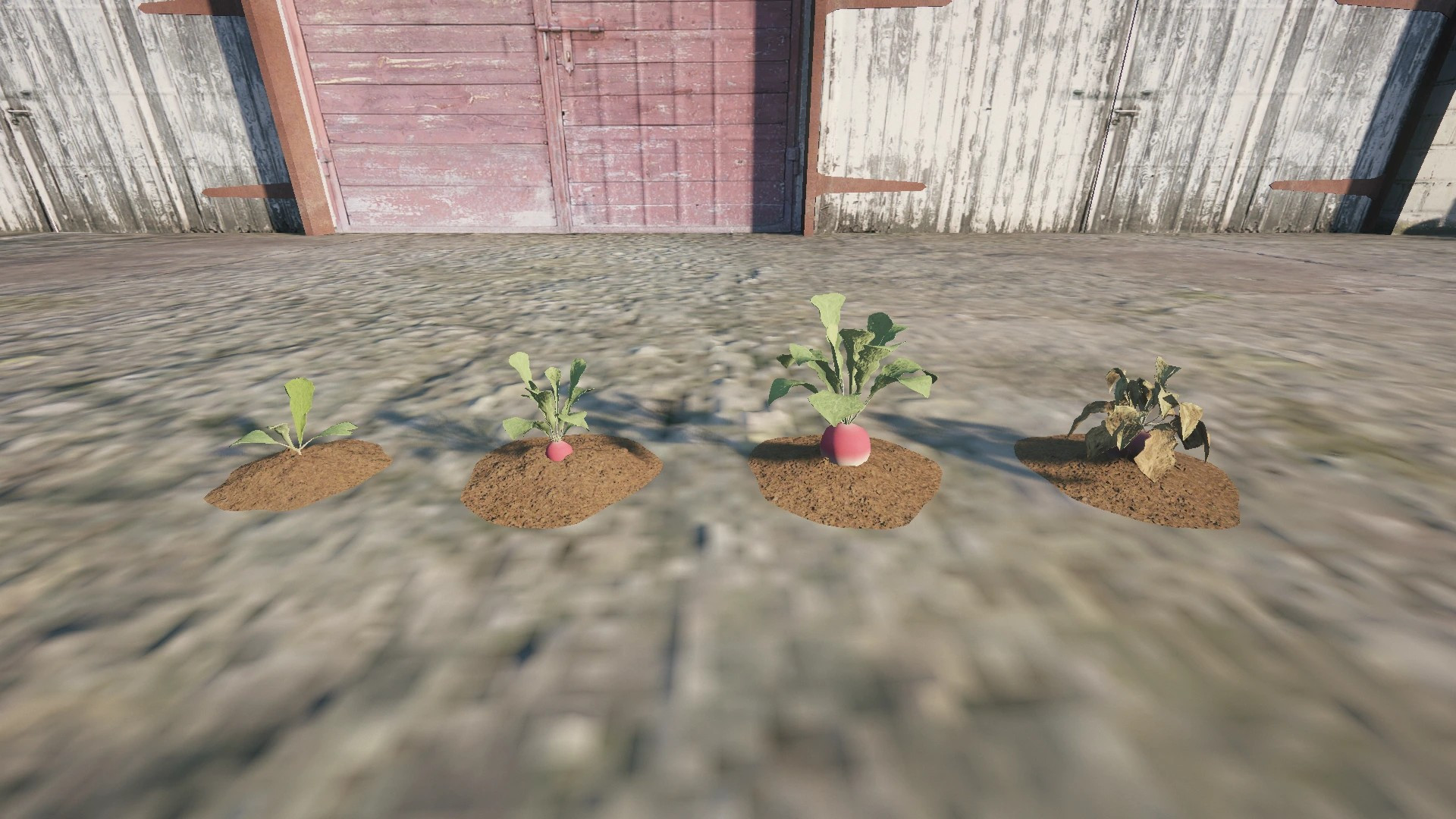 Farm Props: Roots & Bulbs - 3