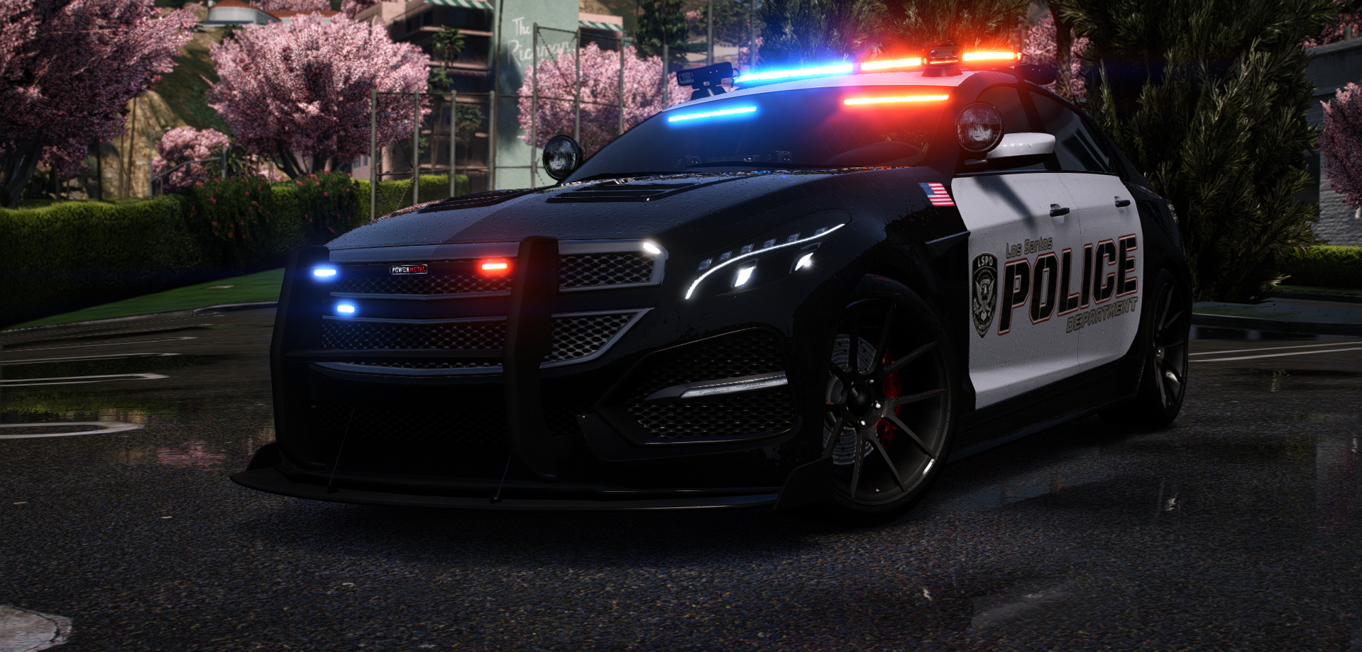 POLICE VSTR (VSTR)
