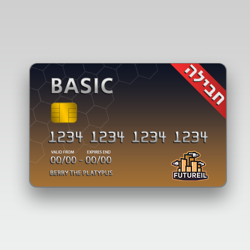 BASIC חבילת