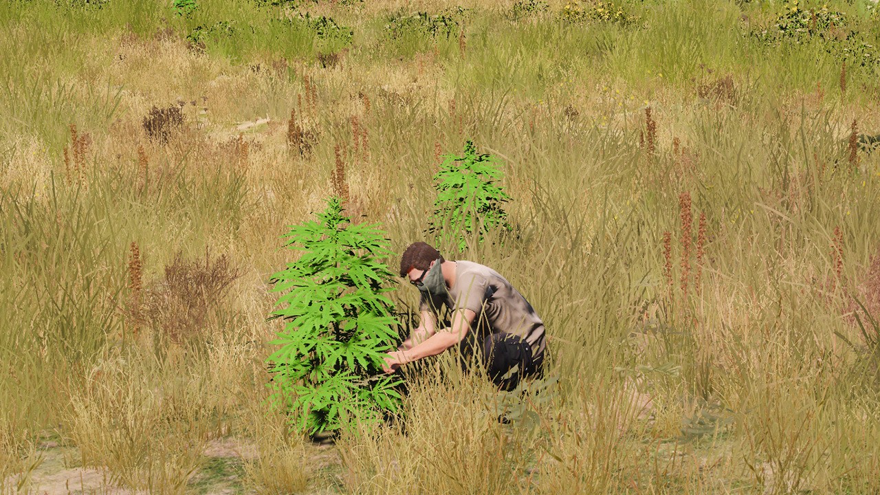 Weed Production