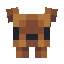 Brown Bear Pet