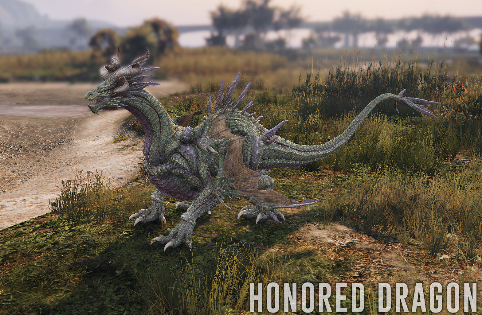 Honored Dragon - 5 Color Variations
