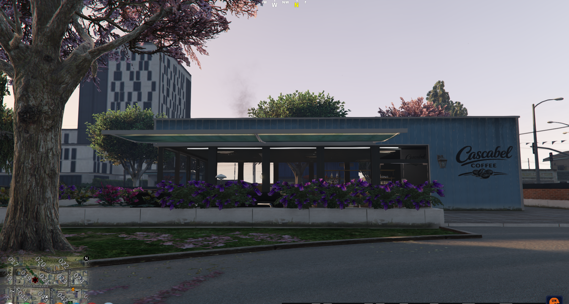 Cascabel Coffee Shop Paleto